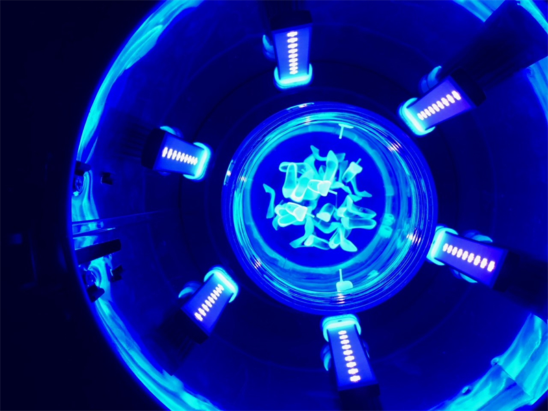 電子束固化技術(shù)的主要應(yīng)用有哪些？